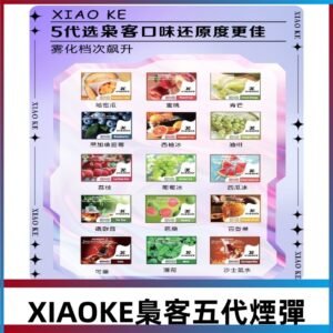 梟客五代煙彈|XIAOKE可替換式電子煙|通用Relx6代|ILIA五代主機