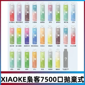 梟客XIAOKE|7500口可發光拋棄式電子煙 跑馬燈一次性